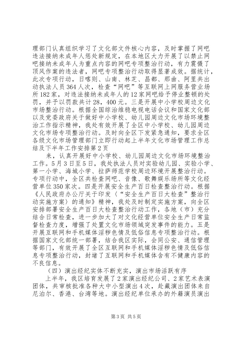 上半年文化市场管理工作总结及下半年工作安排_第3页