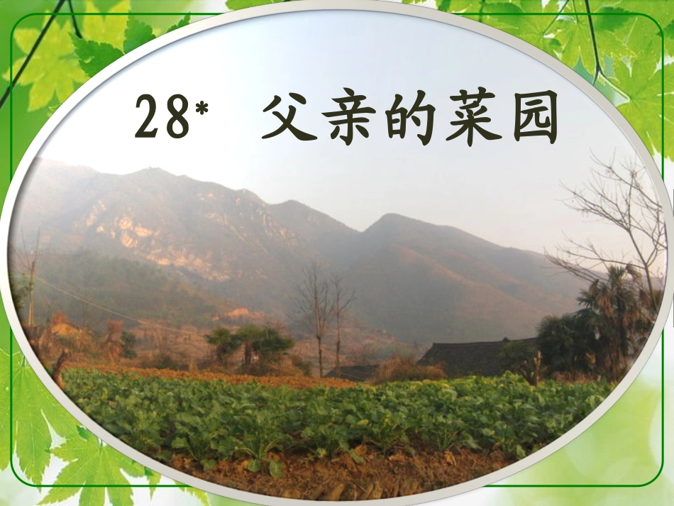 父亲的菜园chen_第1页