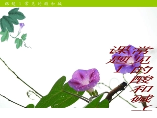 九年级化学常见的酸和碱课件_新课标_人教版