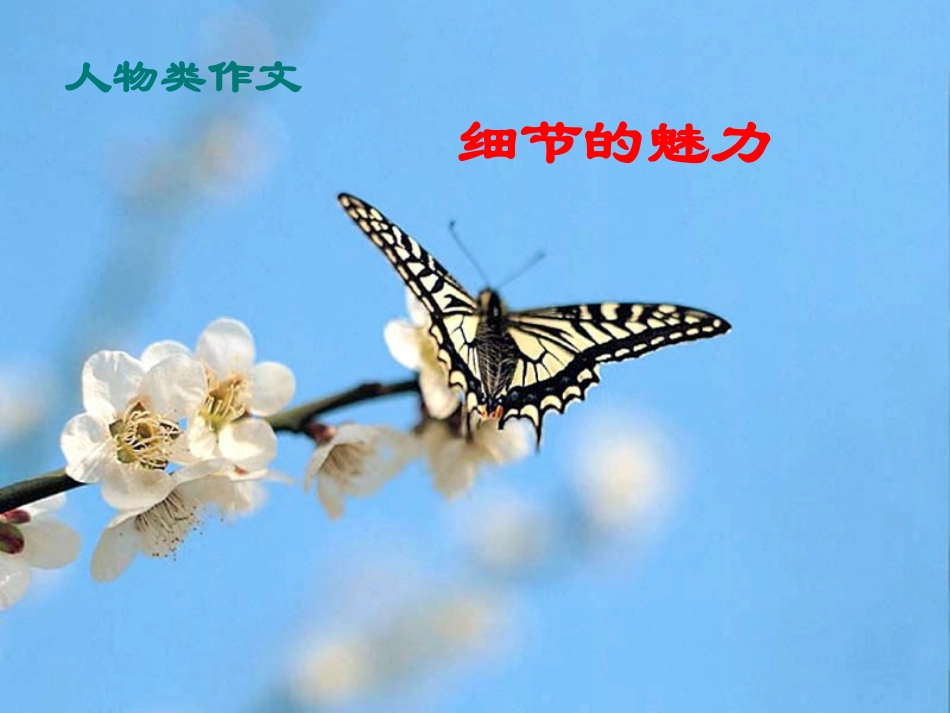 作文课件-人物的外貌描写_第1页