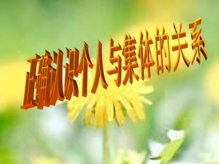 个人与集体的关系