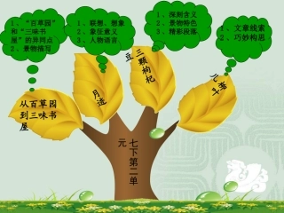 七下第二单元知识树