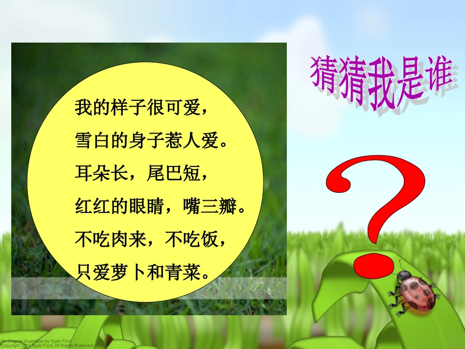 可爱的动物（二下说说写写课件）_第3页