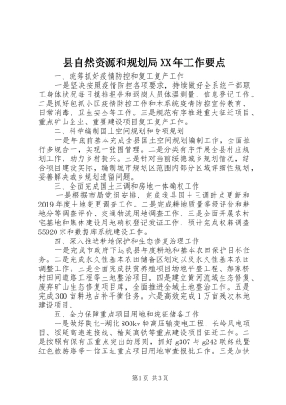 县自然资源和规划局XX年工作要点
