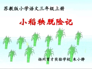 小稻秧脱险记第二课时课件