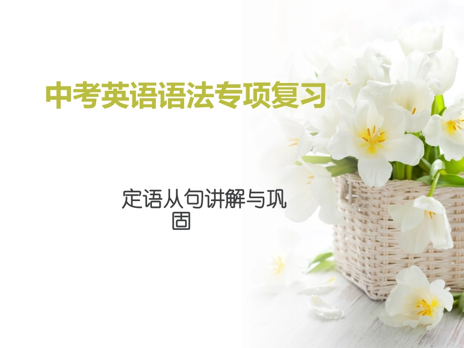 初中定语从句总结_第1页