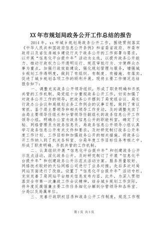 XX年市规划局政务公开工作总结的报告