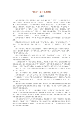 “野马”是什么意思？