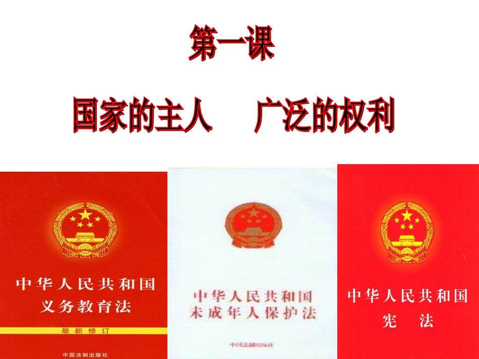人民当家做主的国家_第1页