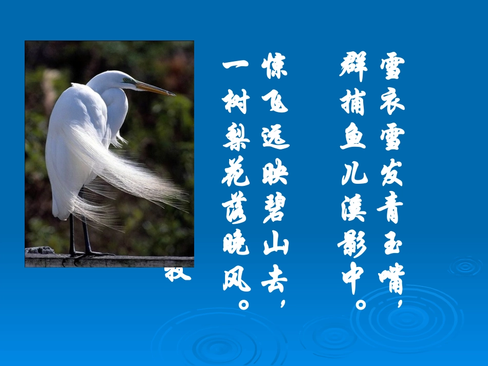 散文家谈散文_第2页