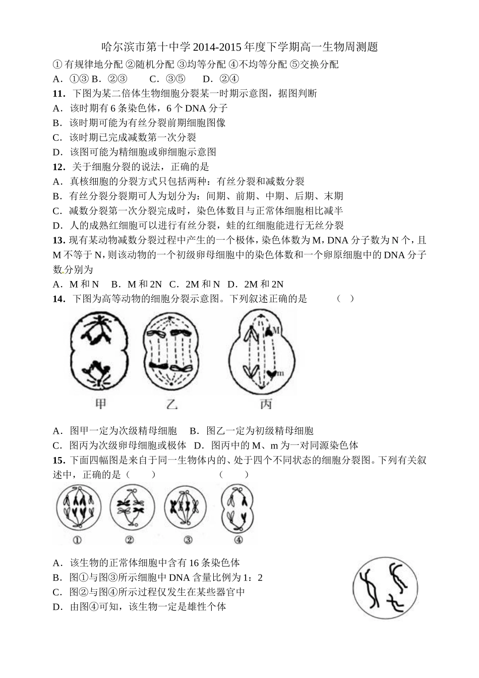 减数分裂检测_第2页