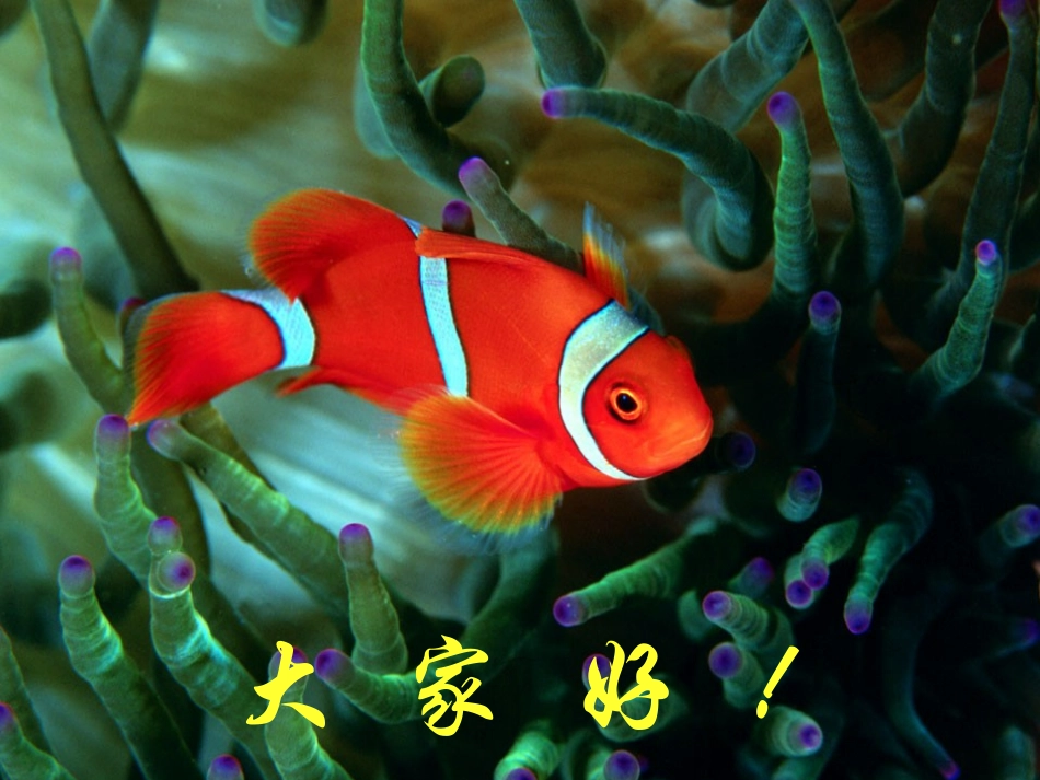 生态系统的结构_第1页