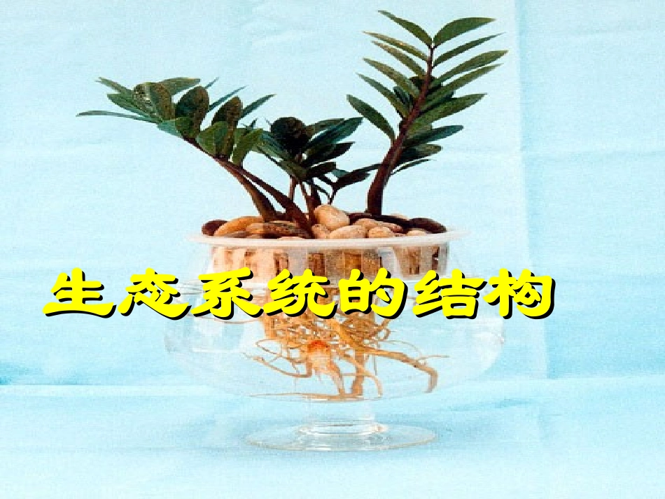 生态系统的结构_第2页