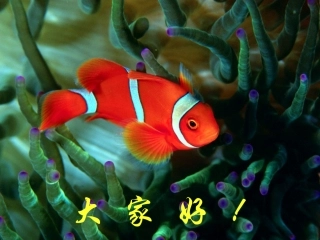 生态系统的结构