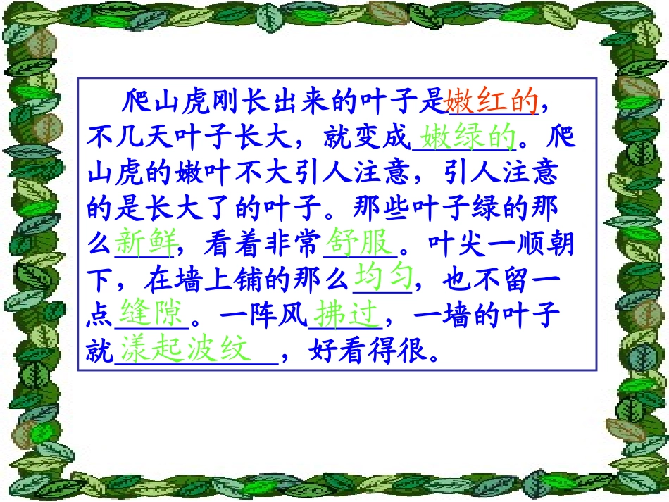 《爬山虎的脚》课件1_第3页