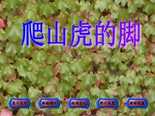 《爬山虎的脚》课件1