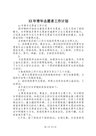 XX年青年志愿者工作计划