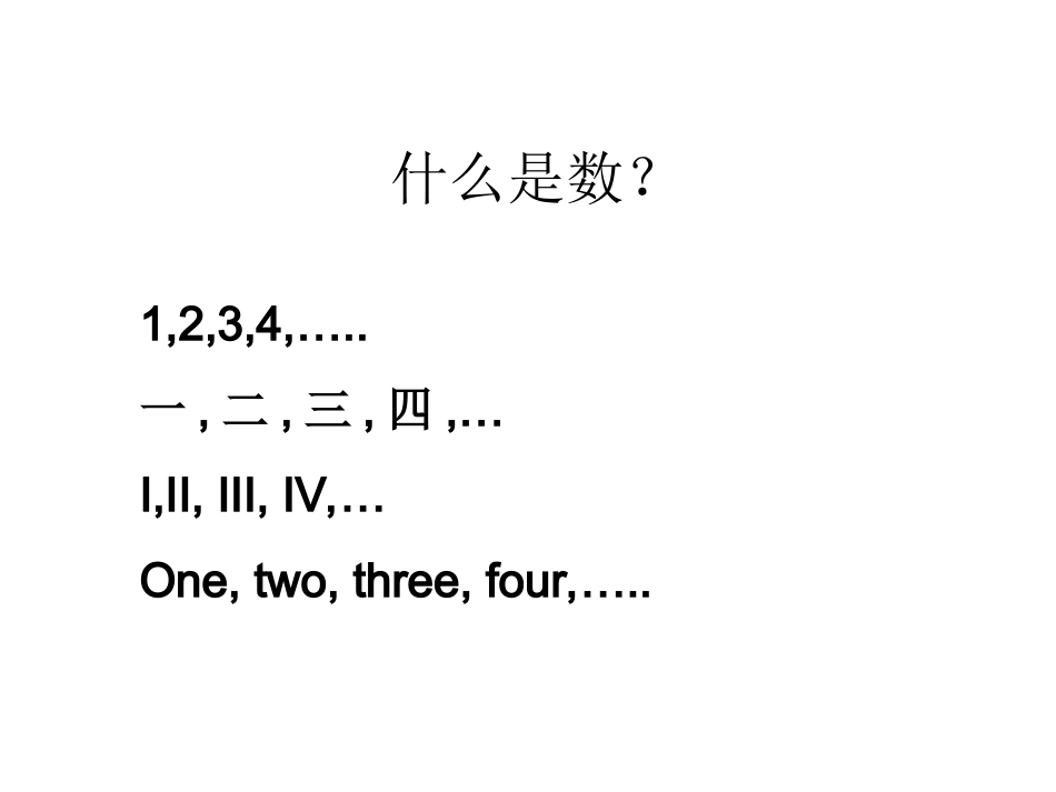 数的历史和发展（王冠香）_第2页