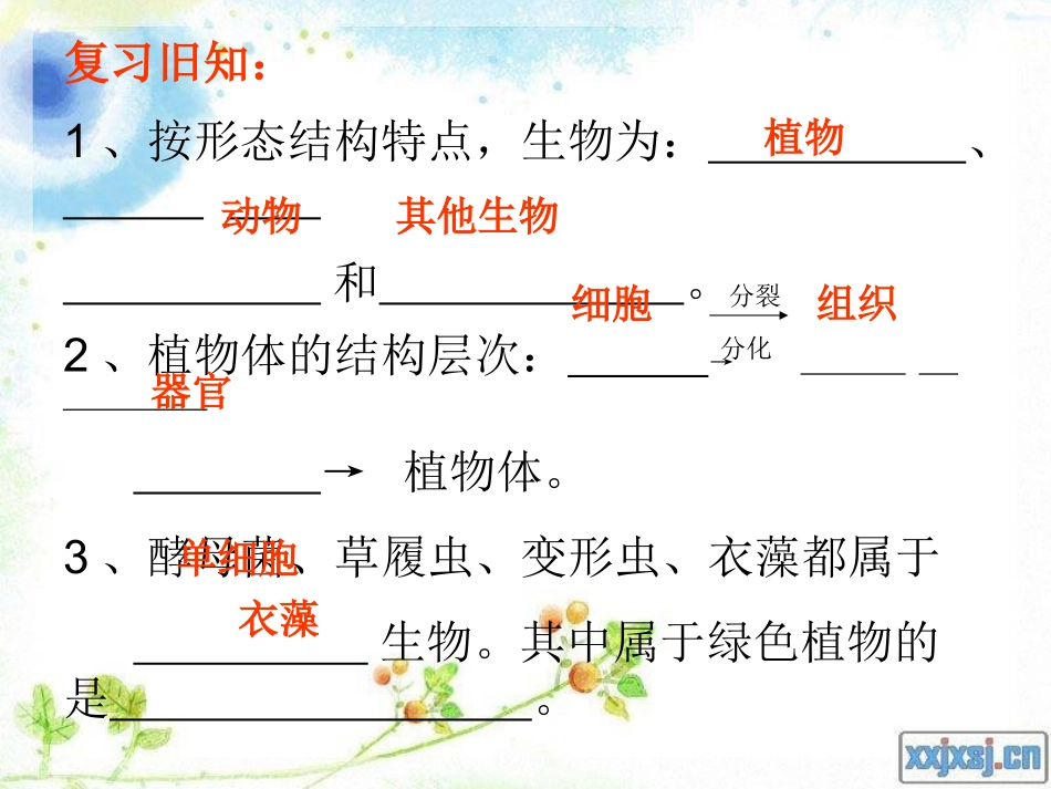 (藻类、苔藓和蕨类)_第1页