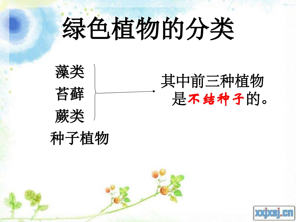 (藻类、苔藓和蕨类)_第3页