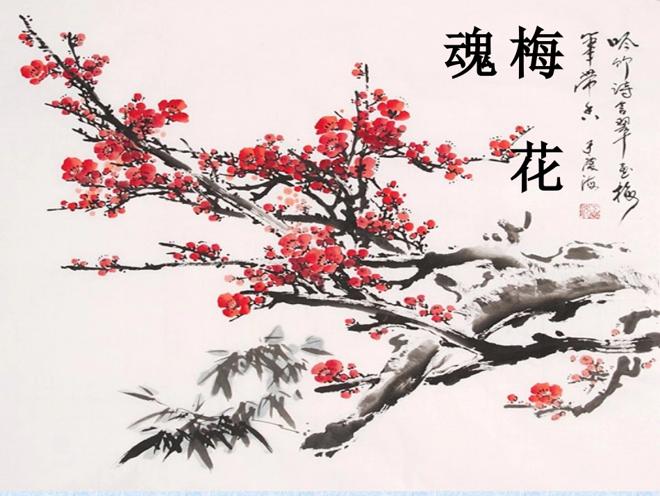 梅花魂完美版_第1页