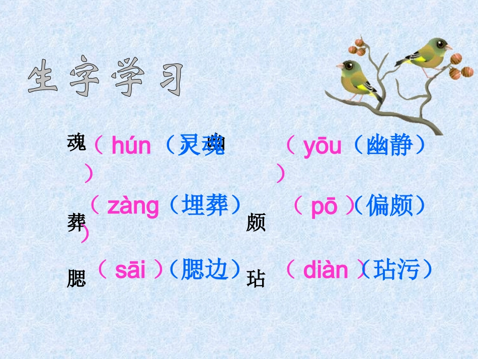 梅花魂完美版_第3页