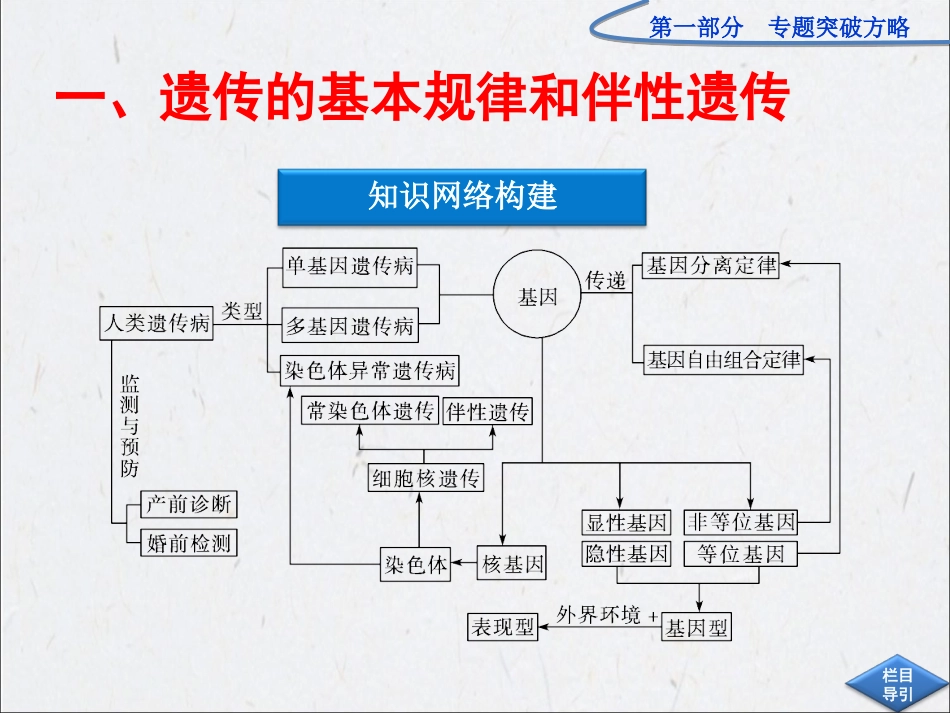 专题四、遗传、变异和进化高三二轮复习_第2页