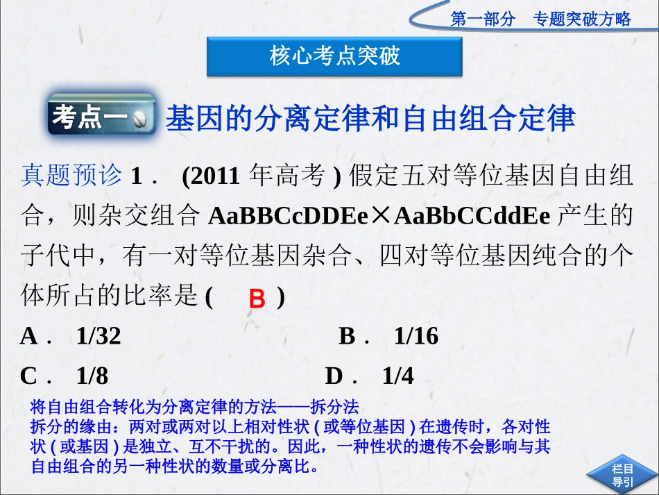 专题四、遗传、变异和进化高三二轮复习_第3页