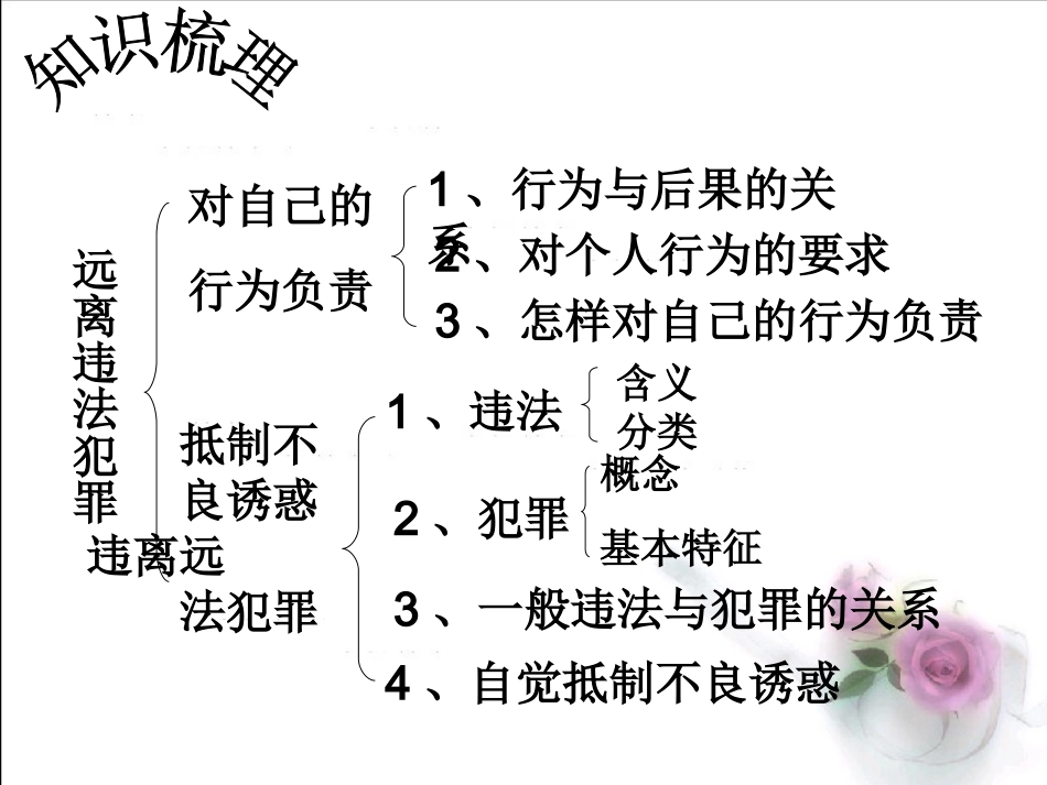 九年级政治第三课远离违法犯罪_第3页