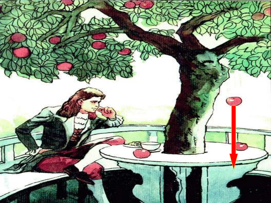 八年级物理来自地球的力_第3页