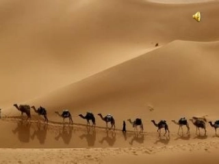 《沙漠里的奇怪现象》课件