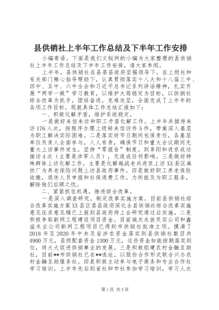 县供销社上半年工作总结及下半年工作安排_1