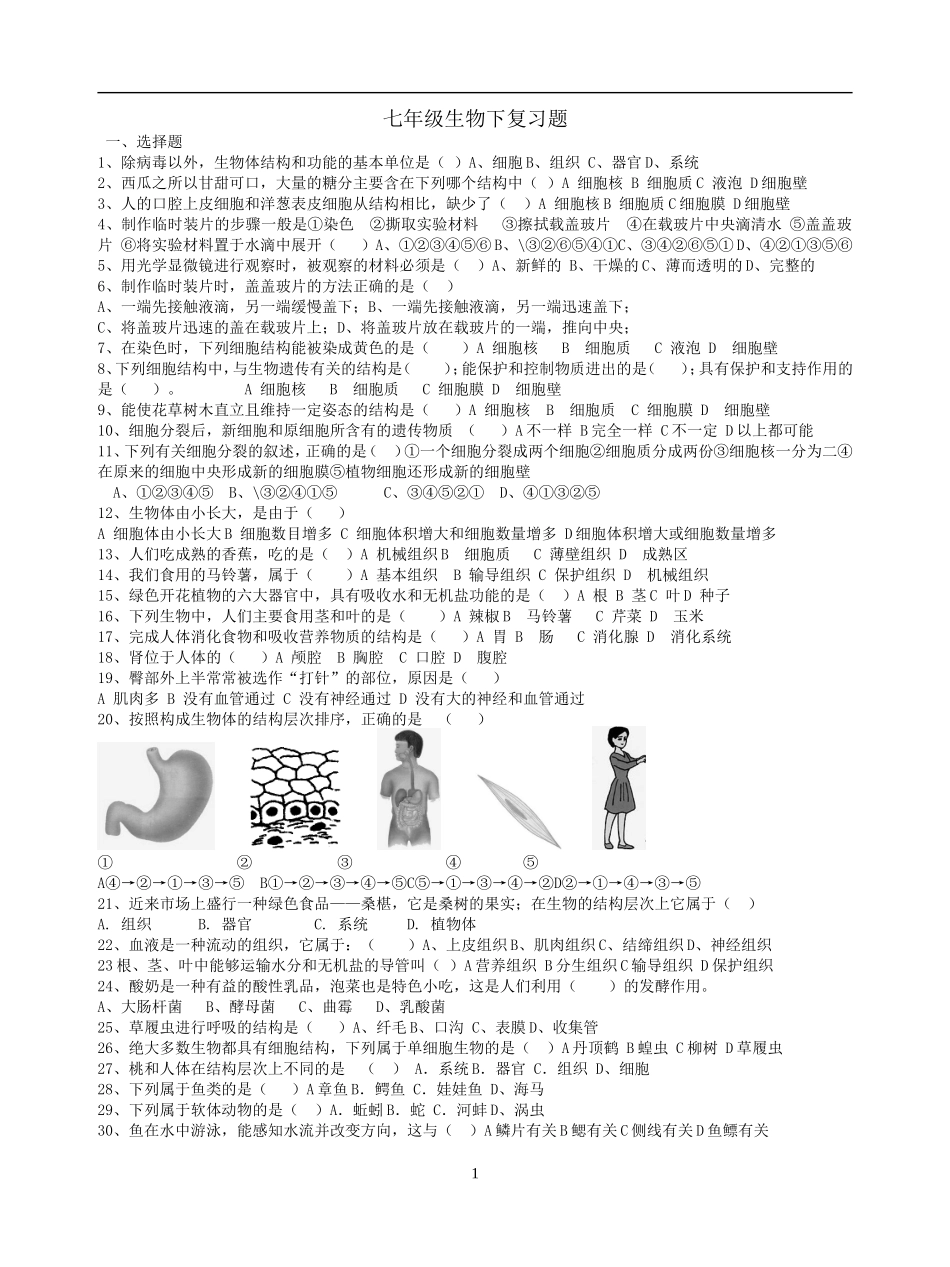 七年级生物下复习题_第1页