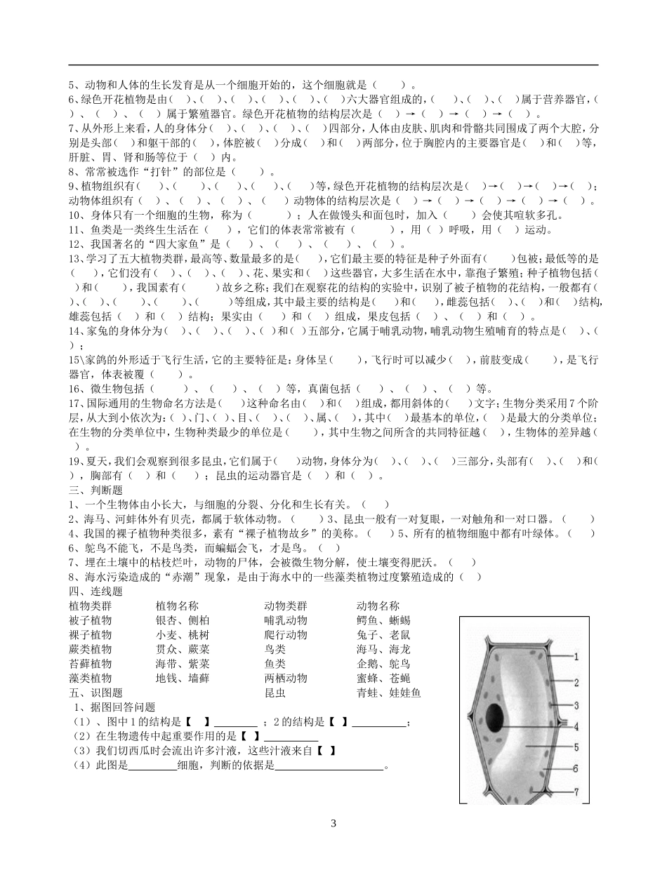 七年级生物下复习题_第3页
