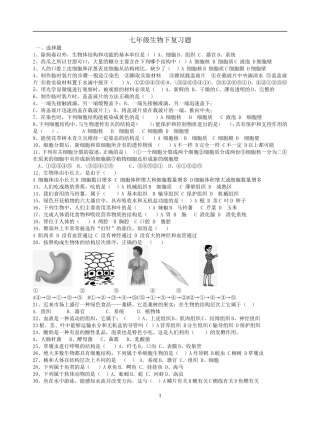 七年级生物下复习题