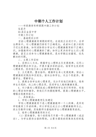 中期个人工作计划