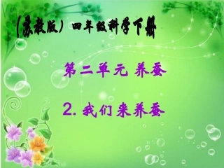 我们来养蚕PPT课件