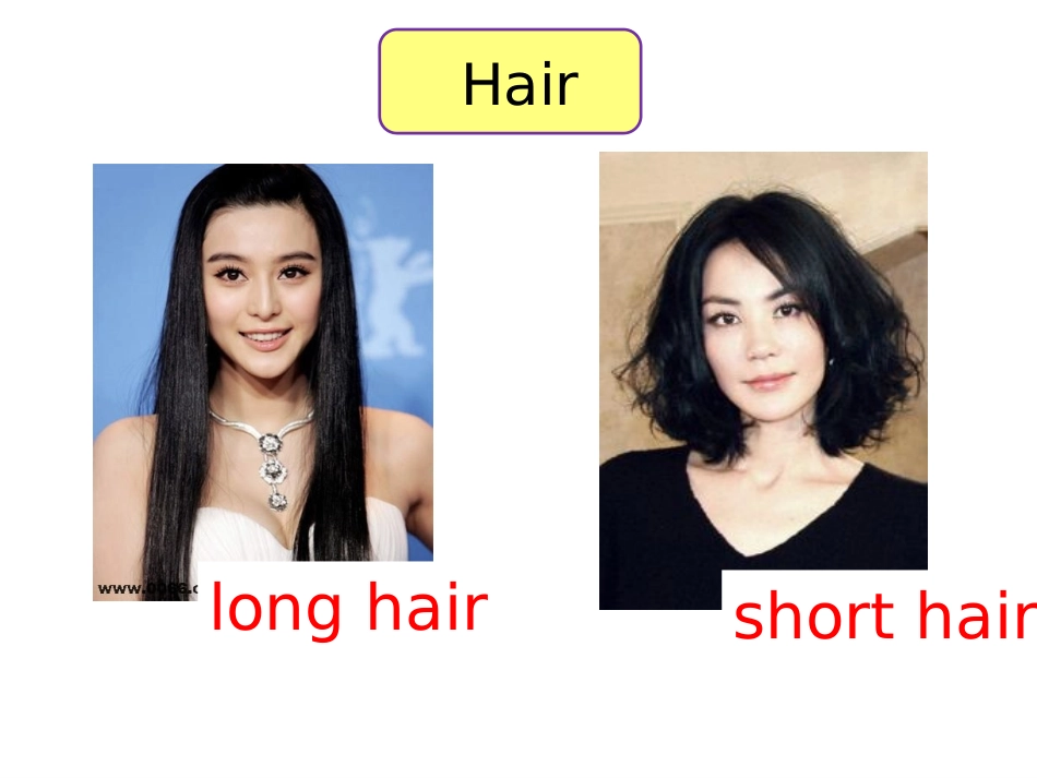 八年级上册Unit3SectionA1a-2d_第3页