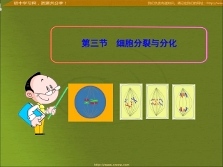 细胞分裂和分化