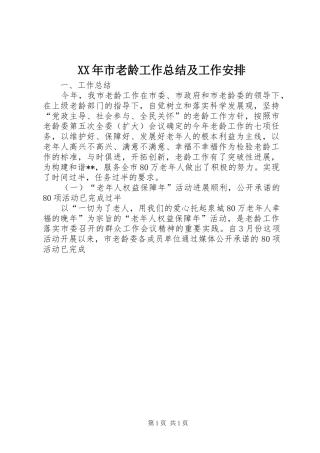 XX年市老龄工作总结及工作安排