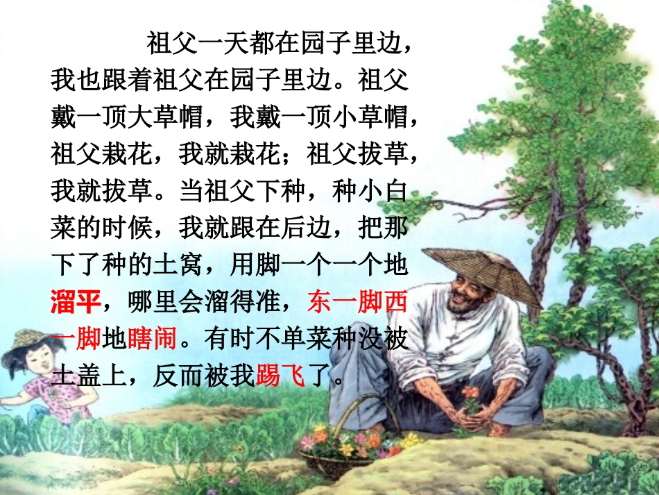 我和祖父的园子新_第3页