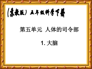 教版小学科学五年级下册《大脑》课件2
