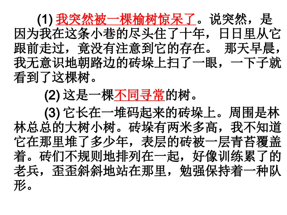 向一棵树鞠躬（阅读理解）_第2页