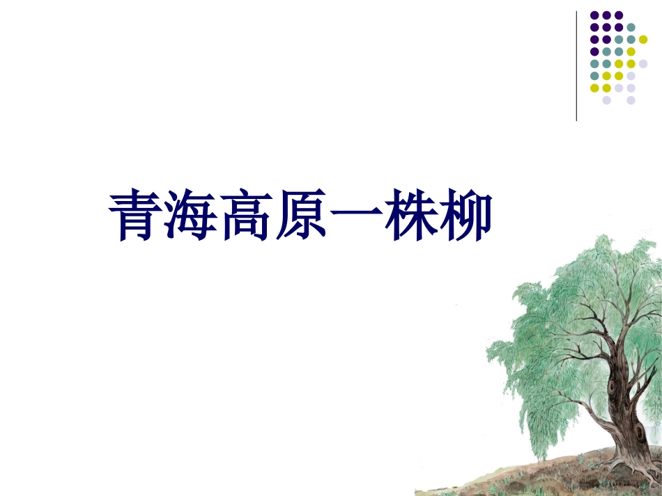 青海高原一株柳PPT课件_第1页