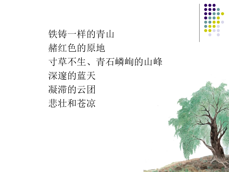 青海高原一株柳PPT课件_第2页