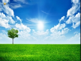 心情变好的方法