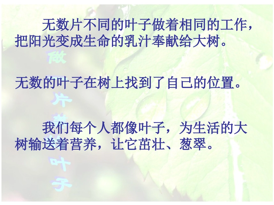 做一片美的叶子 (5)_第3页