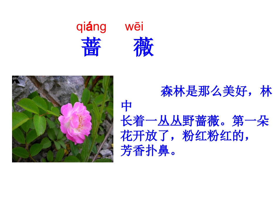 《我不是最弱小的》教学课件_第3页