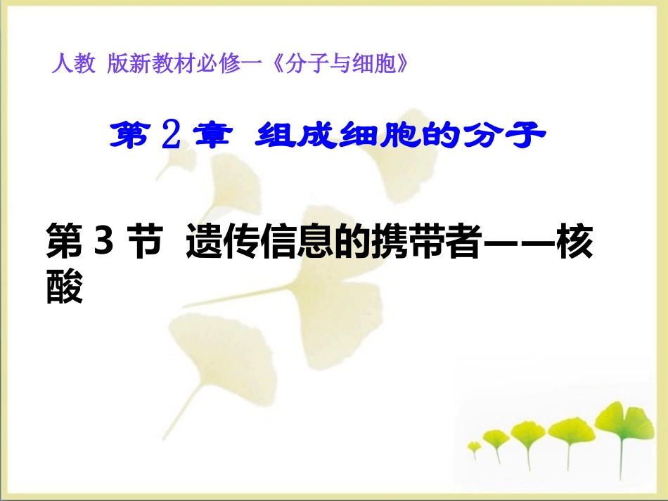 《遗传信息的携带者——核酸》参考课件1_第1页