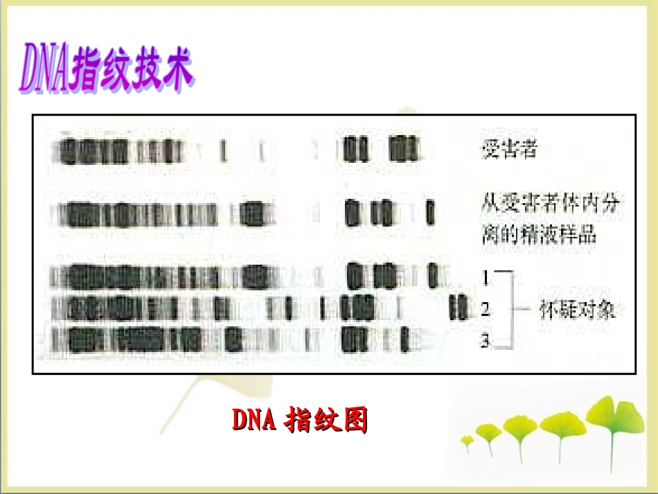 《遗传信息的携带者——核酸》参考课件1_第2页